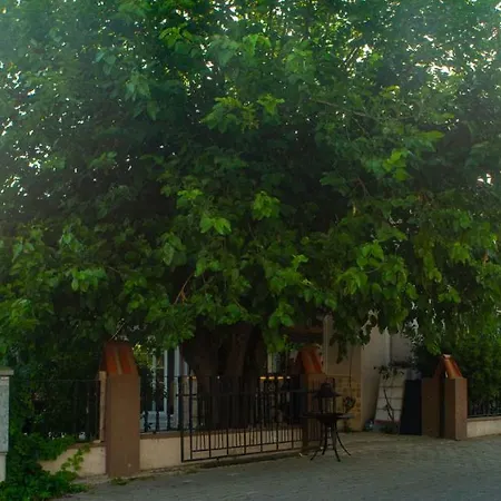 Eon Boutique Szálloda Dalyan