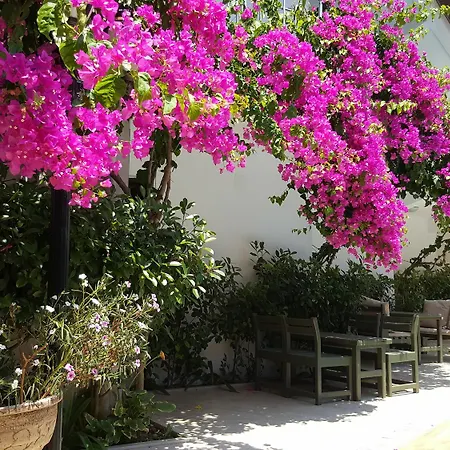 Hotel Eon Boutique 4*